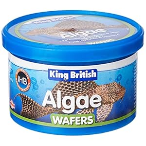 King British Algae Wafer, 40g
