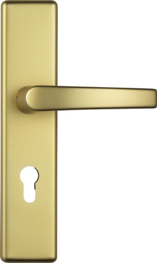 Abus 8421 - Placa para empujar para puertas