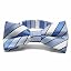Wave Blue Douglas Stripe