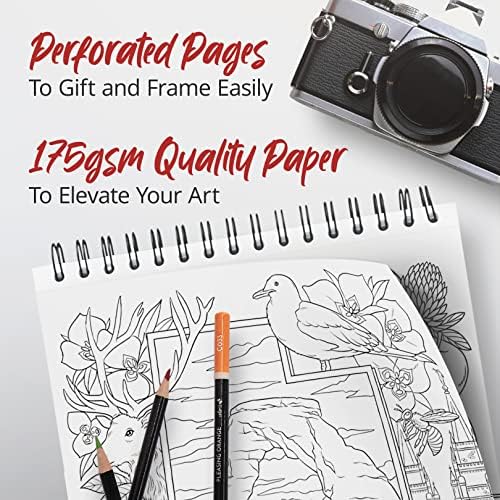 ColorIt The Fifty States Adult Coloring Book - 50 Single-Sided Designs, Thick Smooth Paper, Lay Flat Hardback Covers, Spiral Bound, USA Printed, 50 Pages to Color