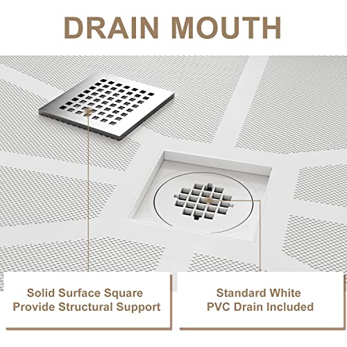 The 29 Best Stainless Steel Shower Pans of 2023 [Verified] Cherry Picks