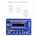 Woltechz Lipo Battery Charger Balance Charger Discharger 1-6S LiPo Li-ion NiMH NiCD Li-Fe PB LiHV Smart Battery with Tamiya XT60