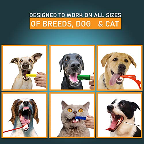 The Ultimate Dog Toothbrush Kit, 22-Pack, Pet Cat Toothbrush, Small Dog Cat Finger Toothbrush, Large Breed Care Tooth Brush, Complete Dental Kit for Pets