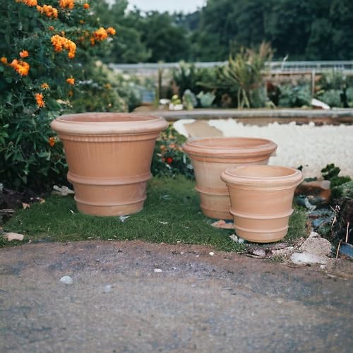 Pflanzkubel Terracotta Winterhart