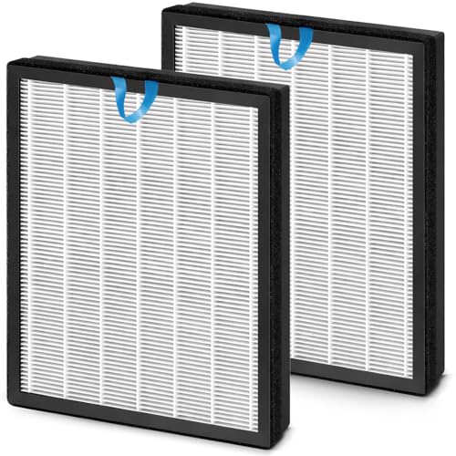 Filtre Vital 100S haute efficacité True HEPA capture particules et allergènes filtre blanc