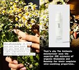Pai Skincare - C-2 Believe krem rozświetlający z witaminą C 50 ml