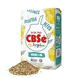 CBSe Yerba Mate Ginger – 500g (1.1 lb) Loose Leaf Herbal Tea – Argentine Yerba with Natural Ginger Flavor – Bold, Warming, Naturally Caffeinated