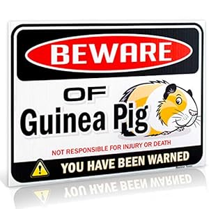 Bigtime Signs Beware of Guinea Pig Warning Sign 9 x 12 Funny guinea pig ornament Gag Gifts for window office bedroom decor lockers Corrugated Plastic Guinea Pig Gifts for Indoor or Outdoor