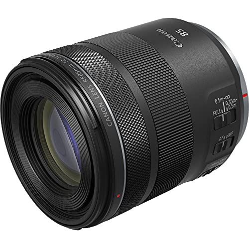 Canon RF 100-500mm lens