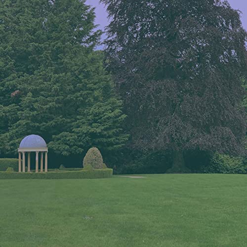 Play FOR THE HUMANS WHO TAKE LONG WALKS IN THE FOREST by AURORA on ...