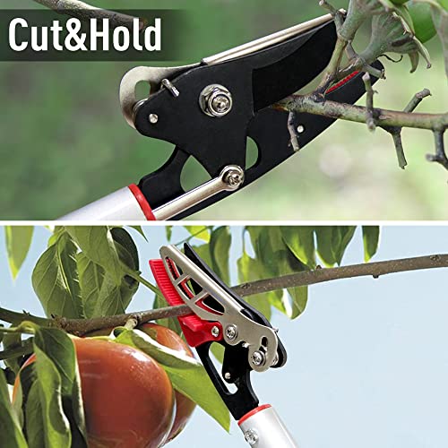 Altdorff Cut And Hold Pruner Set, Lightweight 32-Inch Long Reach Pruner One-Handed Operation, Hold Long Reach Cut Rotating, 8.3" Hand Pruner For Branch Pruning, Fruit Picking, Prickly Plants & Roses #TOP1