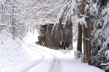 Paperback In the Shadow of the Smokies Book