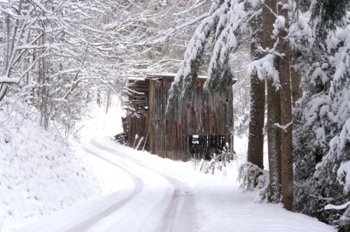 In the Shadow of the Smokies 0615178693 Book Cover