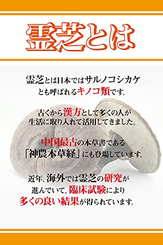 日本ケミスト 霊芝リニューアル版 100粒