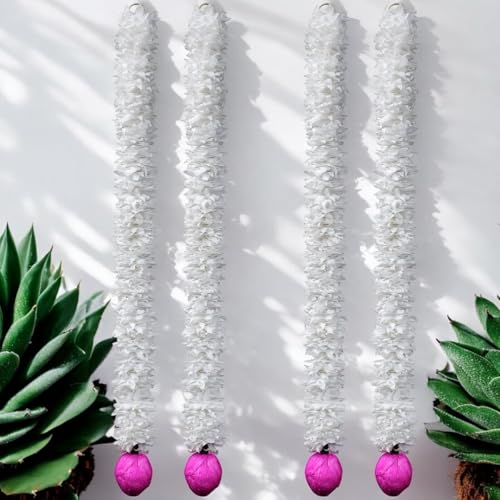 See full amazon price history chart for Shubhanjali Pink Lotus Buds Hangings 22 inch, Main Door Entrance MDF Flowers Hanging (4 Pcs), for Ganesh Festival Pooja Room Pink Lotus Hangings for Decoration Temple Dcor Shop Office Decor. Shubhanjali Pink Lotus Buds Hangings 22 inch, Main Door Entrance MDF Flowers Hanging (4 Pcs), for Ganesh Festival Pooja Room Pink Lotus Hangings for Decoration Temple Dcor Shop Office Decor. (B0CH8TB3DC) Amazon Price History, Amazon Price Tracker