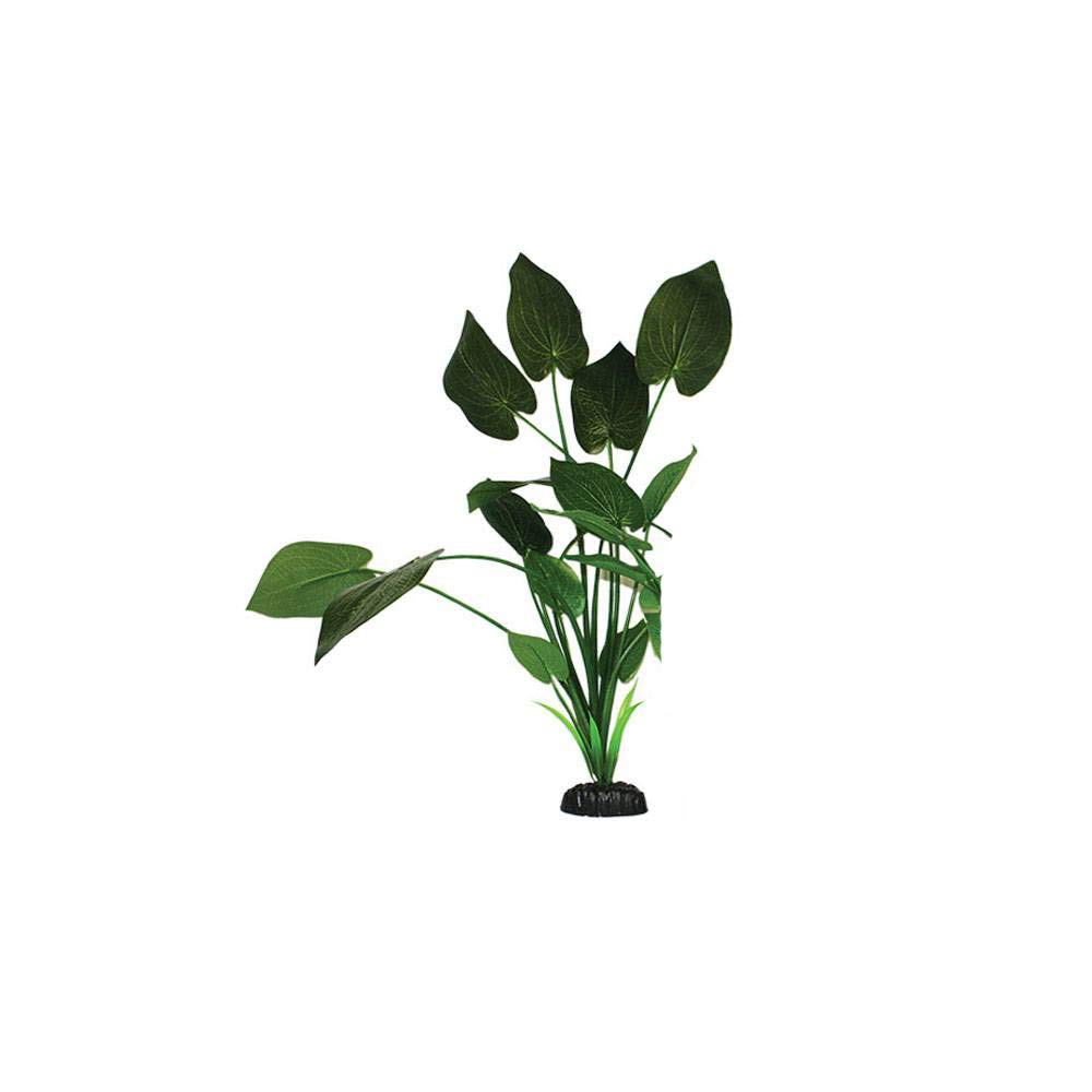 Sygonium Green Silk Like Plant 40cm by KenKoi