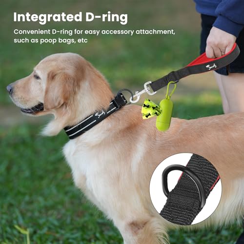 PETTOM Kurzführer Hund mit Griff Strapazierfähigem Nylongewebe Kurze Hundeleine für Hundetraining Geeignet (M: 2.5 x 32 cm, Schwarz)