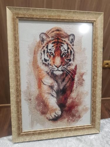 Tiger Walks in, Wild Animal Cotton Counted Cross Stitch Kits,150x200 Stitch, 26x36cm, Egyptian Cotton Thread, 14 Count Counted Cross Stitch Kits