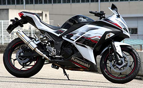 Realize カワサキ ニンジャ250R Aria (TypeS)マフラー Amazon | Realize (リアライズ) カワサキ ニンジャ250 (JBK-EX250L