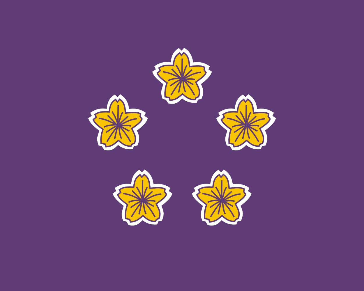 Drapeau Large Sárosd officiel de la commune hongroise pour mât
