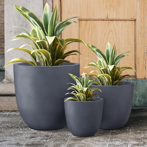 Image of Kante Set of 3 Charcoal Concrete Bowl Round Planters for Modern Home