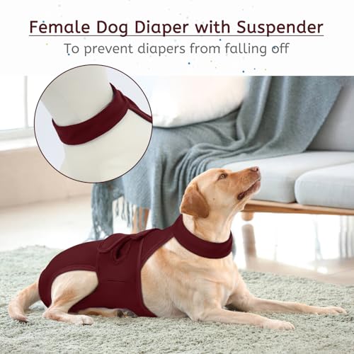 Image of Lelepet Female Dog Diapers with Suspenders, Washable & Reusable Wine Red | Adjustable and absorbent dog diapers for heat cycles, incontinence, and senior dogs. Comfortable all-day fit. Pet panties