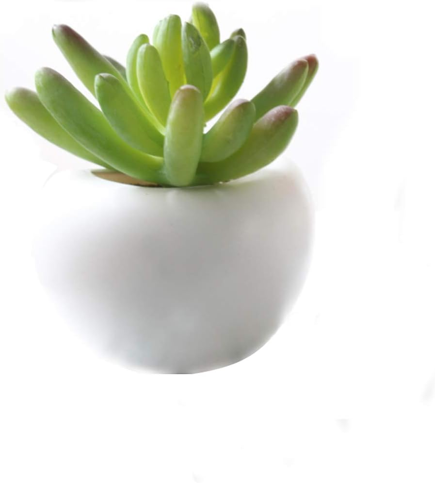 magnets fridge cute Succulent Fake Plant flower magnets Used As locker accessories office magnets~also be used in the locker decorations locker decor (1PCS)