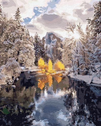 Artnapi Malen nach Zahlen Erwachsene mit Rahmen | DIY Handgemalt | Natur - Winterwald | Kit für Anfänger und Erwachsene | Set inklusive Acrylfarben & Pinsel | 40x50cm Leinwand | Ideal als Geschenk