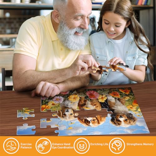 6 Paquetes de Rompecabezas de Grandes Piezas para Adultos Mayores – 36 Piezas, Juegos Cognitivos para Memoria y Concentración, Rompecabezas Fáciles con 6 Bolsas de Almacenamiento miniatura 5