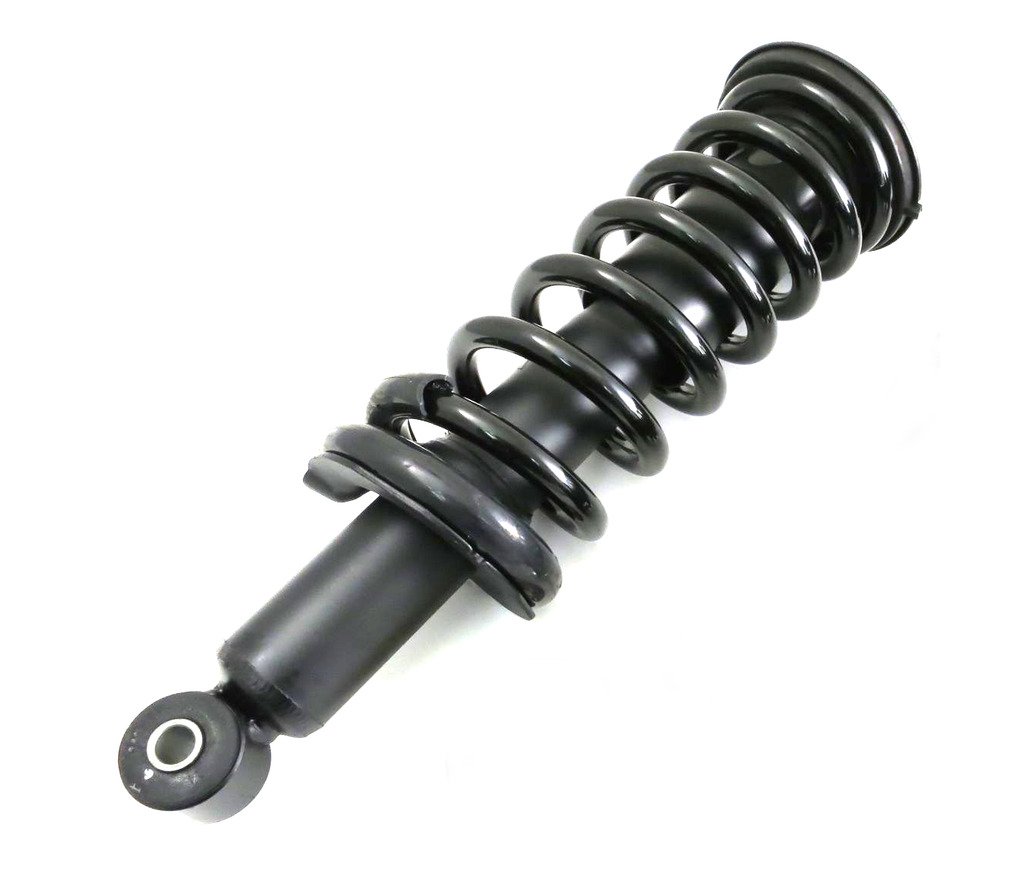 Amazon.com: DTA D171358 Ready to Install Complete Strut Assembly 