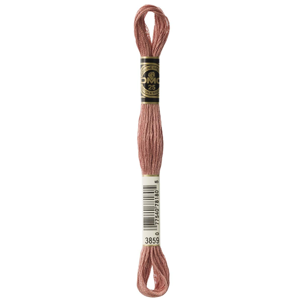 DMC Embroidery Floss Mouline Stranded Cotton Thread for Hand Embroidery and Sewing - Colour No: 3859-12 x 8m Skeins