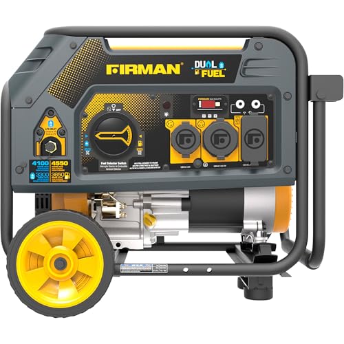 Générateur portable bi-carburant Firman H03652