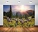 BELECO 10x8ft Fabric High in The Mountains Flock of Sheep Grazing Backdrop Rural Pasture Shepherds Backdrop Wild Forests and Fields of The Carpathians Scenery Background Studio Booth Photo Props
