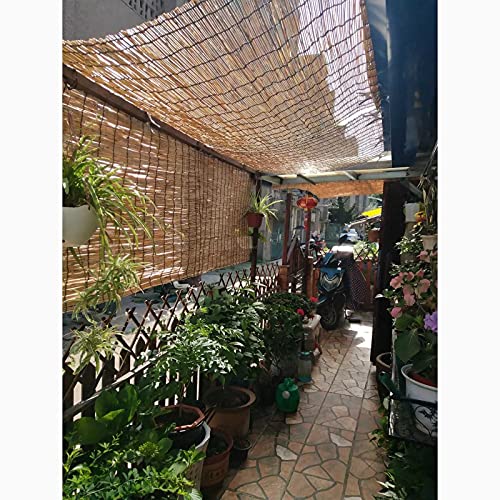 Consejos y reviews para comprar Estores cana disponible en línea para comprar. 5 Imagen adicional