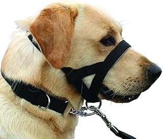 Kumfi Canine Kumfi Dogalter Size M, Black