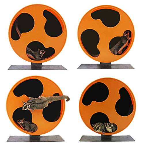 Silent Runner 12" Regular Wheel + Sandy Track + Cage Attachment - Pet Exercise Wheel Package Set - For Sugar Gliders, Female Rats, Hamsters, Mice And Other Small Pets #TOP5