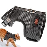 PASSGENAUES, AUSBRUCHSICHERES KATZENGESCHIRR FÜR IHRE KATZE: Ja, es ist perfekt auf Ihre Katze anpassbar! Unser mittelgroßes Katzengeschirr ist perfekt für Katzen mit einer Körpergröße zwischen 28,2 - 37,5 cm und einem Halsumfang von 21,8 - 25,1 cm - wir haben eine sehr große Auswahl an Größen, perfekt für die meisten Katzen! (TIPP: Messen Sie um den Körper herum, unter den Vorderbeinen und um den Hals).