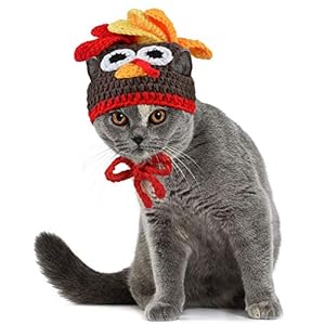Legendog Cat Costume Pet Turkey Hat Thanksgiving Apparel for Cats Small Dogs