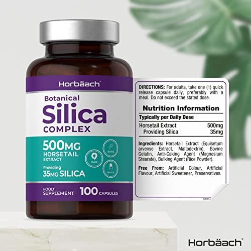 Silica 500mg | 100 Capsules | High Strength Botanical Silica Extract from Horsetail | One-A-Day Formula for Hair, Skin, Nails | Non-GMO Tablets, Gluten Free Supplement
