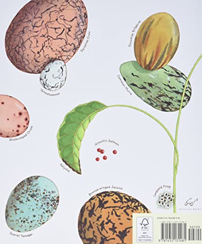 An Egg Is Quiet: (Picture Book, Kids Book about Eggs)