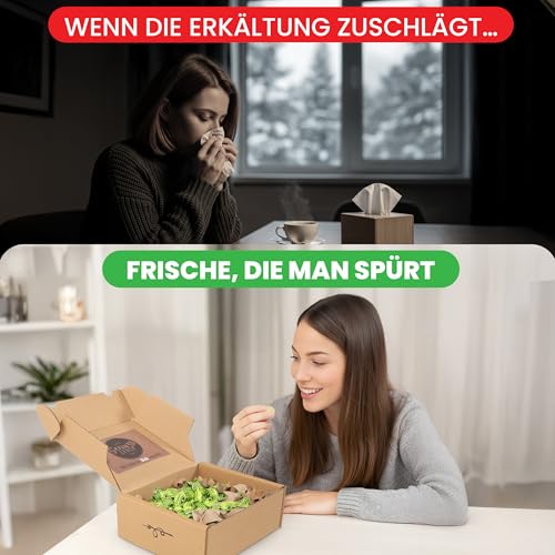 Genussleben Box mit Eukalyptus 800g, Hustenbonbons, Süßigkeiten in Großpackung, Bonbons mit Eukalyptus
