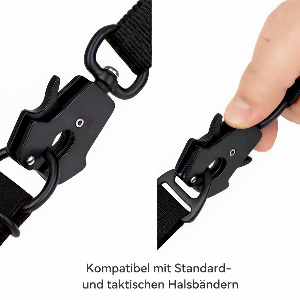 Lina Pet Hundeleine 3m x 2,5 cm, Verstellbare Doppelleine aus Nylon mit Aluminium-Karabiner, Führleine Reflektierend für große und mittelgroße Hunde