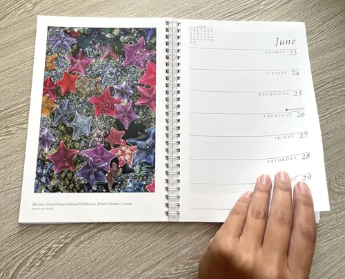 Sierra Club 2025 Engagement Calendar 3 Sierra Club 2025 Engagement Calendar - Image 3