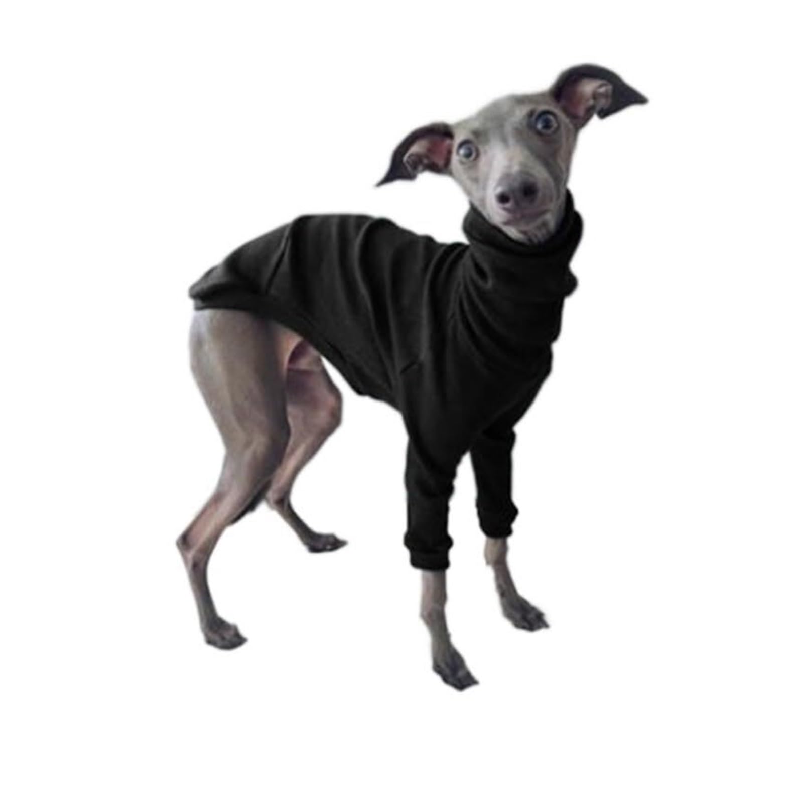 Manteau pour chien Greyhound – Veste à col roulé extensible à col montant pour lévriers whippets et lévriers italiens, pyjama d'hiver chaud à deux pattes (noir, taille XXL)
