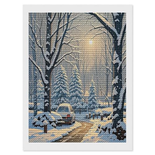 Pinturas de diamantes para principiantes FekiLoot con diseño completo de paisaje de nieve