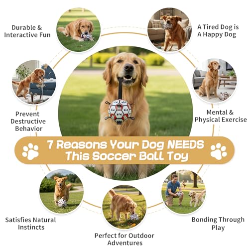 Image of Dog Soccer Ball with Straps, 6 Inch for Small and Medium Dogs, E | Footable Floating Dog Toy for Training, Fetch & Water Play, Interactive Dog Toys with Pump and Needle for Inflation