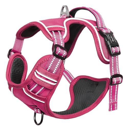 Image of HEELE Dog Harness for Large Dogs No Pull Dog Vest Harness for Large Dog with Soft Padded Handle Reflective for Outdoor Training, Rose(Matching Trim), L