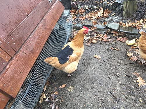 Image of Chicken Saddle, Durable and Comfy Hen Apron, Protective Chicken Clothing with One Strap for Both Wings, Large for Medium to Large Hens, Khaki