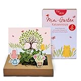 Tool & Tree mini-Garten Katzenminze – Pop-Up DIY Garten Set für Katzenliebhaber & Familien – inkl. Katzenminze-Saatgut, Anzuchtschale & Bastel-Deko – nachhaltiges Geschenkidee für kreative Köpfe