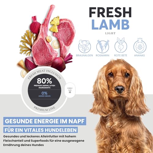 JOHN DOG Premium Trockenfutter für Hunde Fresh - Hundefutter trocken getreidefrei mit 80% Fleischanteil - Hundetrockenfutter mit Lamm - aus natürlichen Zutaten - für ausgewachsene Hunde 3kg